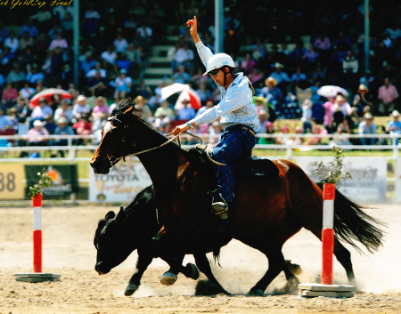 Adam Wallen Dr Show Sponsored Campdrafter