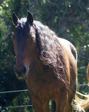 Testimonials Knots Away