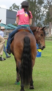 Main & Tail Treatment