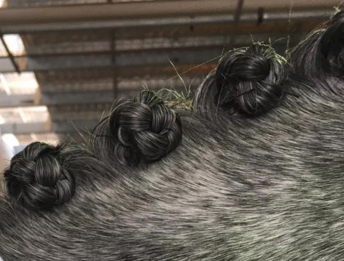 Horse Braided Mane Dr Show Super Mousse