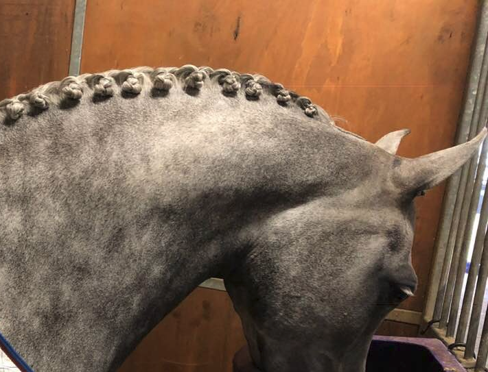 Dr Show SUPER MOUSSE Braided Mane