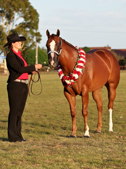 Testimonials Dr Show