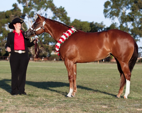 Dr Show Testimonials