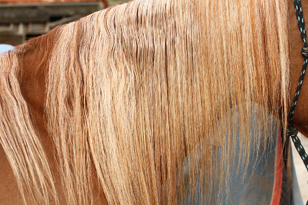 Testimonials Dr Show Knots Away