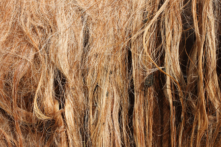 Horse supplies Dr Show Knots Away