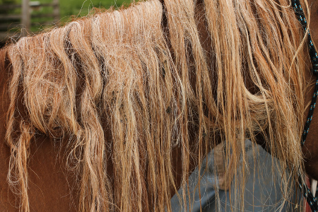 Better than Cowboy Magic