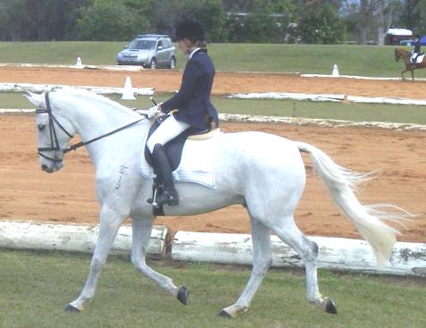 Testimonials Dr Show Tails