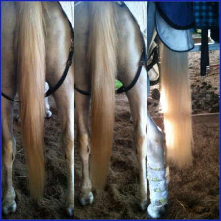 Testimonials Rachel Godsall about Dr SHow