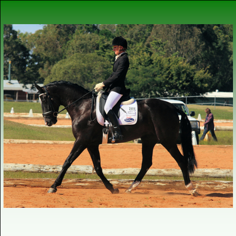 Testimonials Tammy Stephens